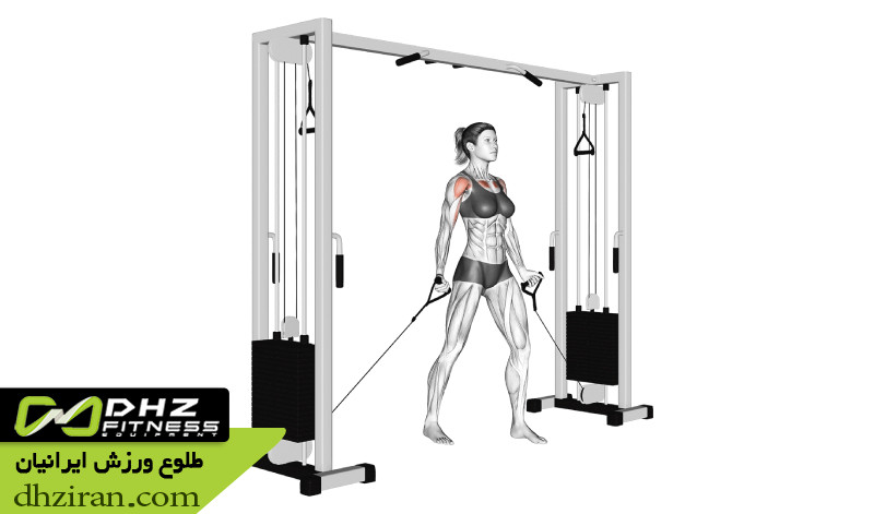 پهلو با سیم کش ایستاده (Cable Side Bend): 